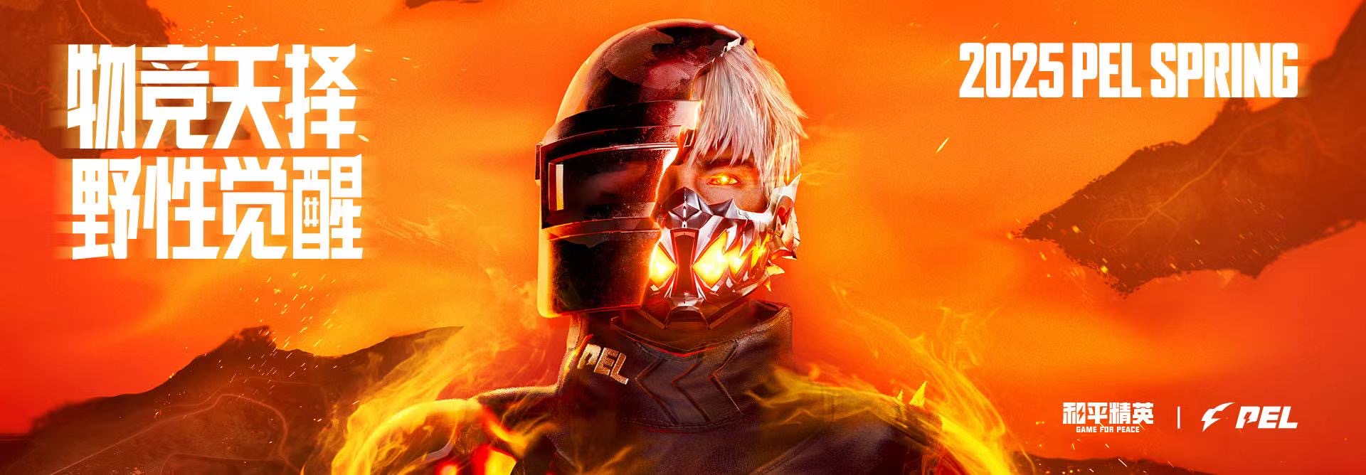 和平精英辅助【番茄】